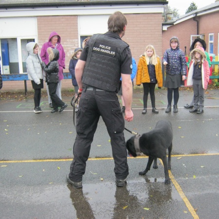 Police Dog Assembly