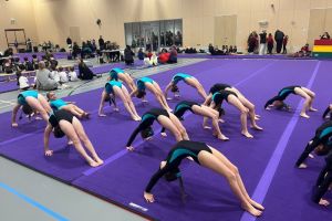 Carlisle Keysteps Gymnastics Feb 2024