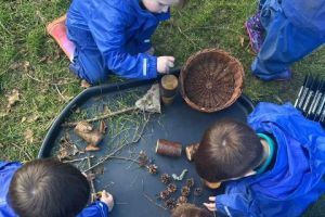 EY Forest Friday - Feb 2025